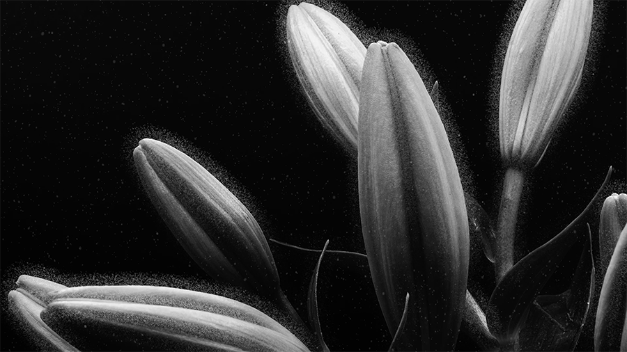 Meine Knochen schlagen die Trommel