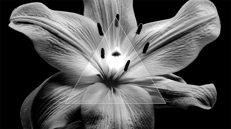 Meine Knochen schlagen die Trommel