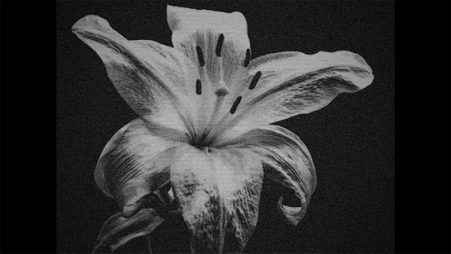 Meine Knochen schlagen die Trommel