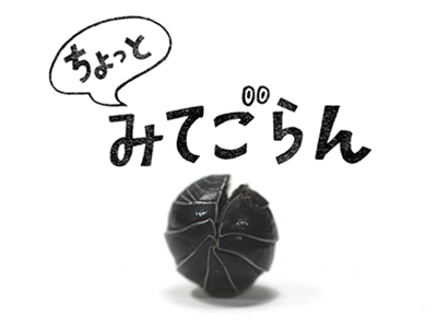 ちょっとみてごらん