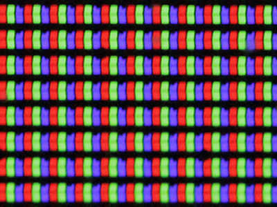 DISCOVER SCIENCE: THE GIANT HUMAN VIDEO SCREEN