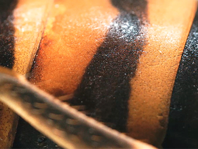 MIMICRIES: THE SECRET OF BLACK AND YELLOW